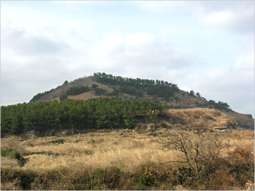 제주 화산폭발로 탄생한 제주 별도봉 전경 